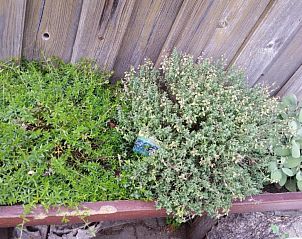 Verblijf 14203301 - Vakantiewoning Beieren - Waldgasthof - Hotel Schiederhof