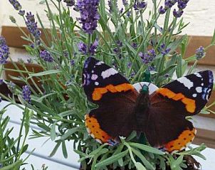 Verblijf 14203301 - Vakantiewoning Beieren - Waldgasthof - Hotel Schiederhof