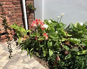 Verblijf 1426404 - Bed and breakfast Oost-Kaap - Le Blue Guesthouse