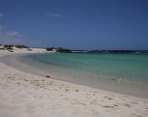 Unterkunft 14614411 • Appartement Kanarische Inseln • Residencial Cotillo Playa 