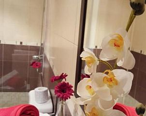 Verblijf 14614411 - Appartement Canarische Eilanden - Residencial Cotillo Playa