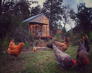 Unterkunft 14827203 - Ferienhaus West-Kaap - Woodlands Self Catering