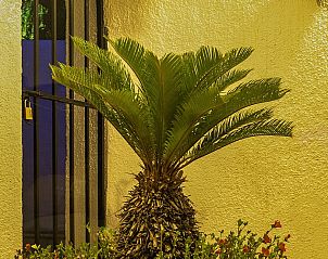 Verblijf 14924801 - Bed and breakfast Costa Blanca - Casa Asombrosa