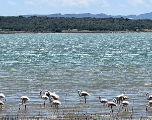 Unterkunft 149255109 - Appartement Costa blanca - Area Beach 3 &#8220;El Raso&#8221;