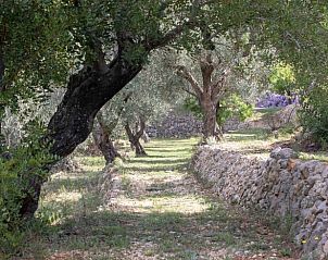 Verblijf 14926410 - Vakantiewoning Costa Blanca - Huisje in Benigembla