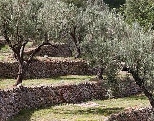 Verblijf 14926410 - Vakantiewoning Costa Blanca - Huisje in Benigembla