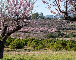 Verblijf 14926410 - Vakantiewoning Costa Blanca - Huisje in Benigembla