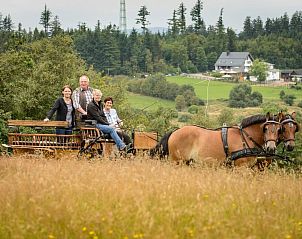 Verblijf 15202802 - Vakantie appartement Sauerland (Winterberg) - Ginsberger Heide