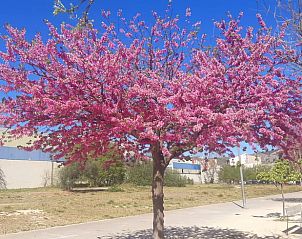 Verblijf 15312301 - Vakantiewoning Costa de Valencia - Vakantiehuisje in Muro de Alcoy