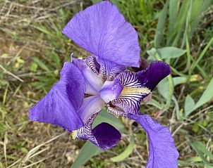 Verblijf 15615205 - Chalet Costa Dorada - Casa del Jabali - cabaña l'ametlla