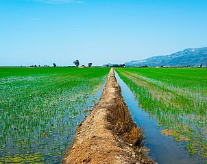 Verblijf 1567039 - Vakantiewoning Costa Dorada - Vakantiehuis Flamenc 3