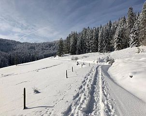 Verblijf 1603103 - Vakantiewoning Zwarte Woud - Naturparkhotel Schwarzwaldhaus