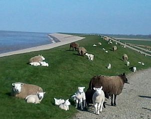 Unterkunft 160325 - Ferienhaus Lauwersmeer - Shalom