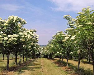 Verblijf 16303202 - Vakantie appartement Thüringen - Hotel Bad Langensalza Eichenhof