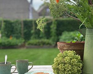 Gezellige buitenplek bij Vakantiehuis in Beilen, Midden Drenthe met koffie en bloemen.