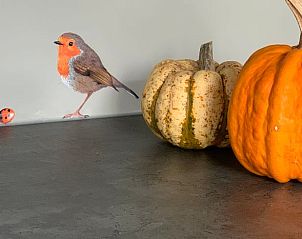 Herfstdecoratie in Vakantiehuis in Beilen, Midden Drenthe met pompoenen en vogel.