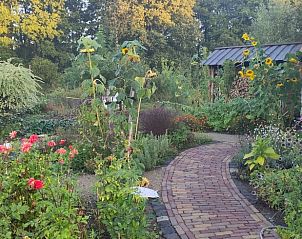 Geniet van de weelderige tuin bij Vakantiehuisje in Beilen, gelegen in het groene hart van Midden Drenthe, Drenthe.