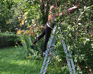 Guest house 1720508 - Holiday property Svealand - Vakantiehuis in Munkfors