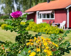 Guest house 17216101 - Holiday property Svealand - Vakantiehuis Gapern