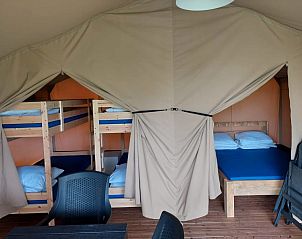 Guest house 17217108 - Tent house Svealand - Safaritent