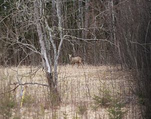 Guest house 17220201 - Holiday property Svealand - Vakantiehuis in Lysvik