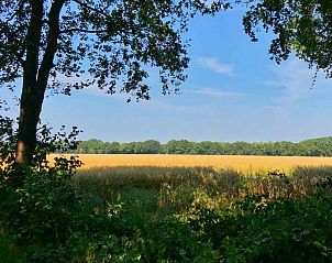 Houten sauna interieur van DG1513 vakantiehuis in Westerbork, Drenthe.