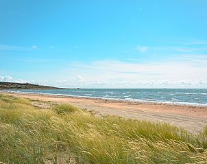 Guest house 17334701 - Holiday property Gtaland - Vakantiehuis Ringsegrd Hjden
