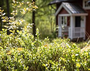 Verblijf 17335301 - Vakantiewoning Götaland - Vakantiehuis Måbäcken