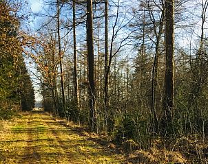 Bosrijke omgeving bij Huisje in Nieuw Balinge, vakantiehuis in de natuur van Nieuw-Balinge.