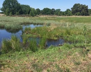 Waterrijk landschap rondom Huisje in Nieuw Balinge, vakantiehuis in Midden Drenthe.