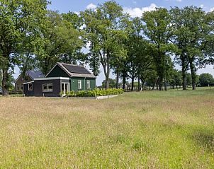 Pittoresk uitzicht op vakantiehuis in Stuifzand, Drenthe, te midden van weelderige natuur.