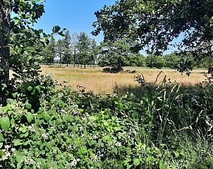 Groene velden rondom Vakantiehuisje in Wezup, ideaal voor natuurliefhebbers in Drenthe.