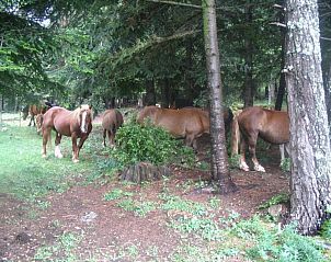 Unterkunft 17914701 - Appartement Katalonien / Pyrenäen - Hotel Terralta