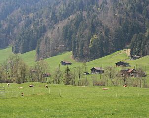 Verblijf 1804902 - Appartement Berner Oberland - Appartement Chalet Bifigen