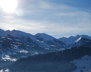 Verblijf 1807001 - Appartement Berner Oberland - Appartement Ferienhaus Niesen View