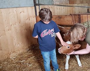Verblijf 18106502 - Appartement Centraal Zwitserland - Häuschen