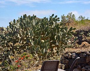 Verblijf 18114402 - Vakantiewoning Canarische Eilanden - Casas Rurales Los Almendreros