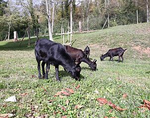 Unterkunft 18114701 - Ferienhaus Katalonien / Pyrenäen - Càmping - Hotel rural La soleia d'Oix