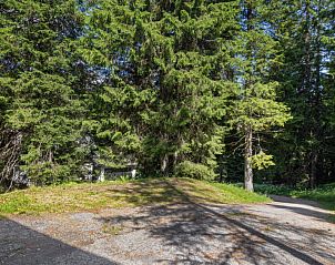 Verblijf 18214404 - Appartement Graubunder / Grisons - Appartement Larice