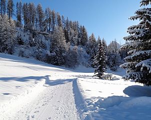 Verblijf 1822602 - Appartement Graubunder / Grisons - Appartement Ferienwohnung Chasa Quadra