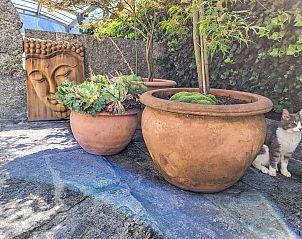 Verblijf 1830206 - Appartement Ticino / Tessin - Appartement Bizio