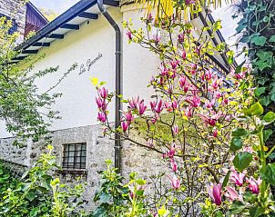 Guest house 1830702 - Holiday property Ticino / Tessin - Vakantiehuis La Gioconda