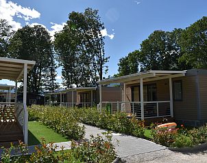 Unterkunft 18311801 - Ferienhaus Tessin - Vakantiehuis Bungalow Isola Premium