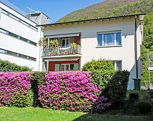 Verblijf 1833102 - Appartement Ticino / Tessin - Appartement Altorfer