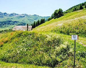 Guest house 1835003 - Holiday property Ticino / Tessin - Vakantiehuis Baita Ficc