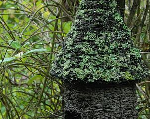 Guest house 19030301 - Holiday property Lower Normandy - Vakantiehuis in Saint Aubin de Bonneval