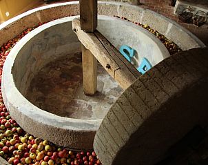 Guest house 19030303 - Holiday property Lower Normandy - Vakantiehuisje in Saint Aubin de Bonneval