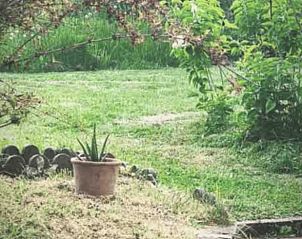 Guest house 1906313 - Holiday property Lower Normandy - Vakantiehuis in Saint-Aubin sur mer