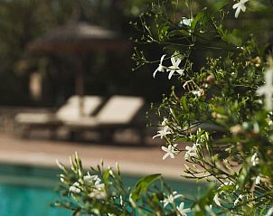 Verblijf 19516003 - Vakantie appartement Mallorca - Fincahotel Can Estades