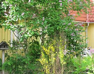 Verblijf 19617301 - Bed and breakfast Götaland - Heimdallhuset